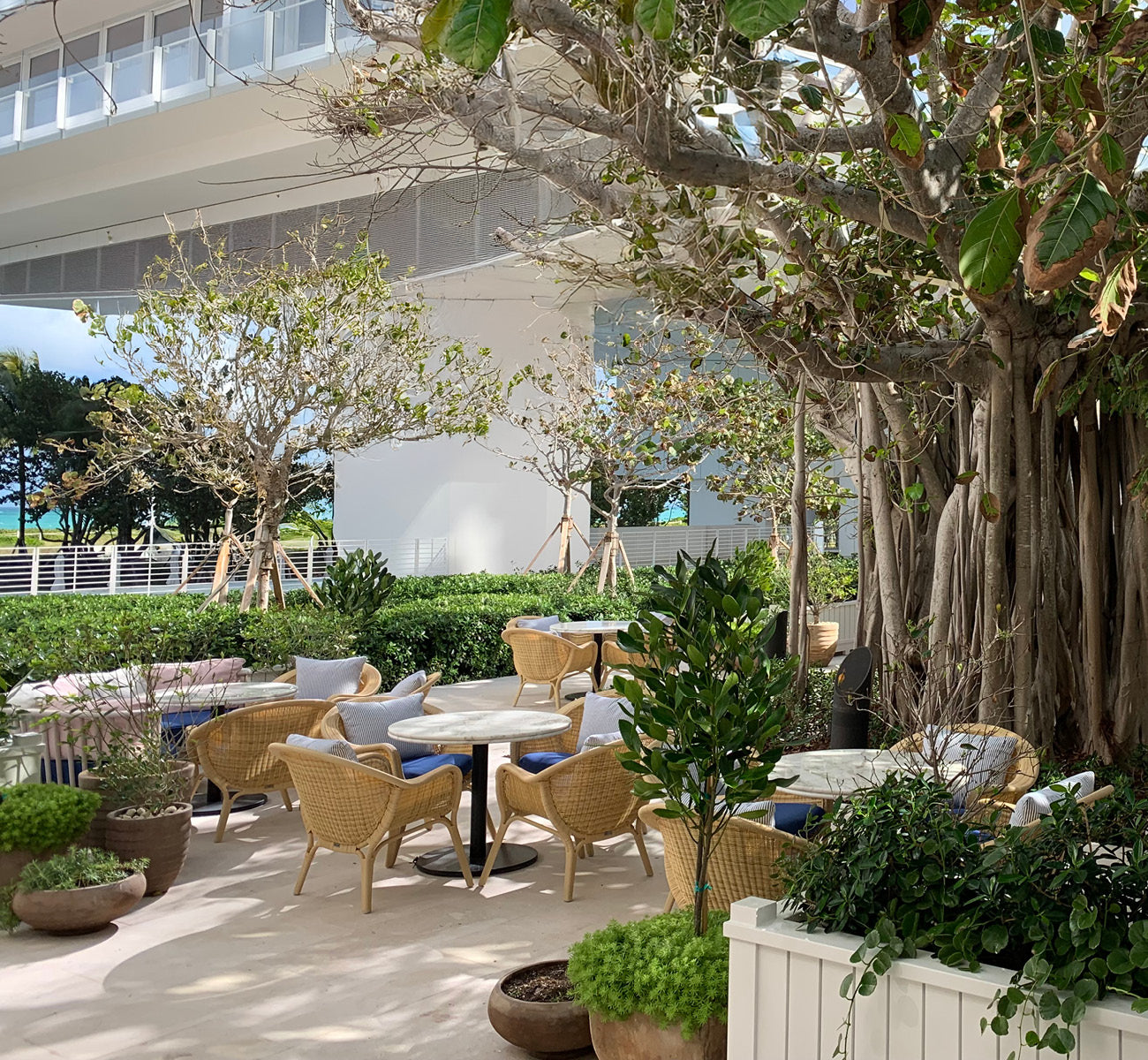 Four Seasons