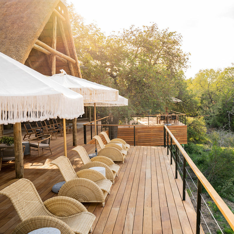 Thornybush Safari