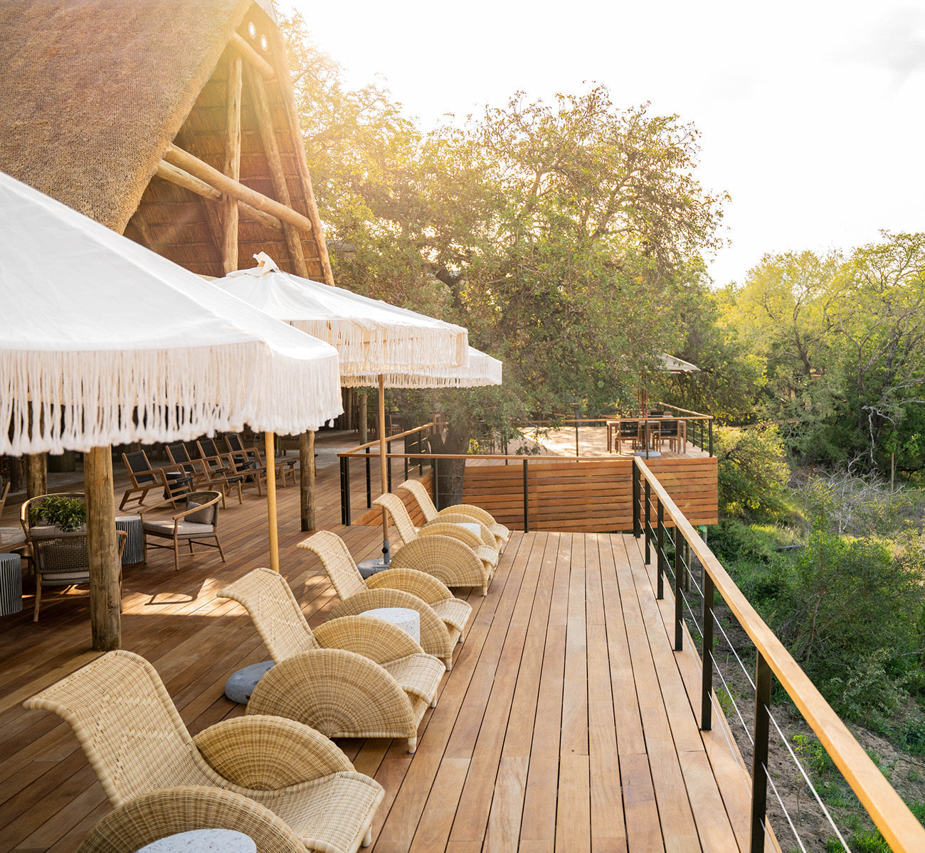 Thornybush Safari
