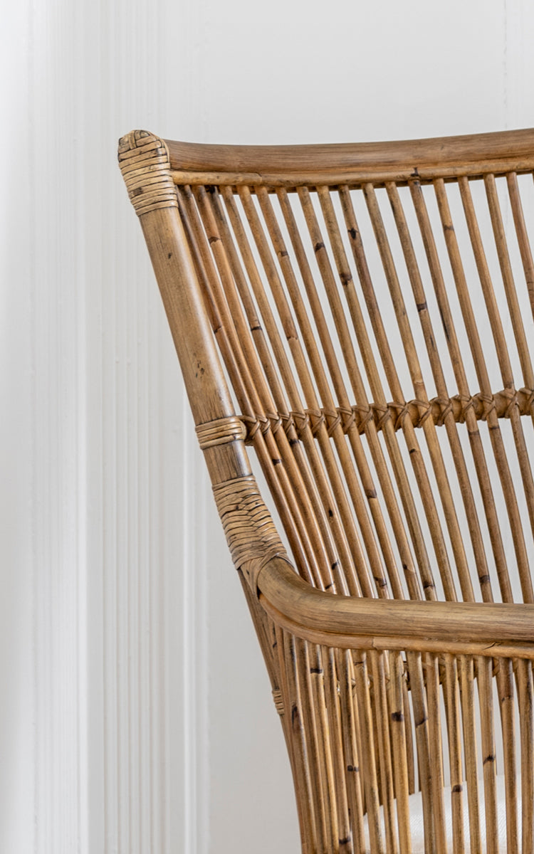 Esta es una imagen de detalle de Davinci silla de comedor en antique rattan.