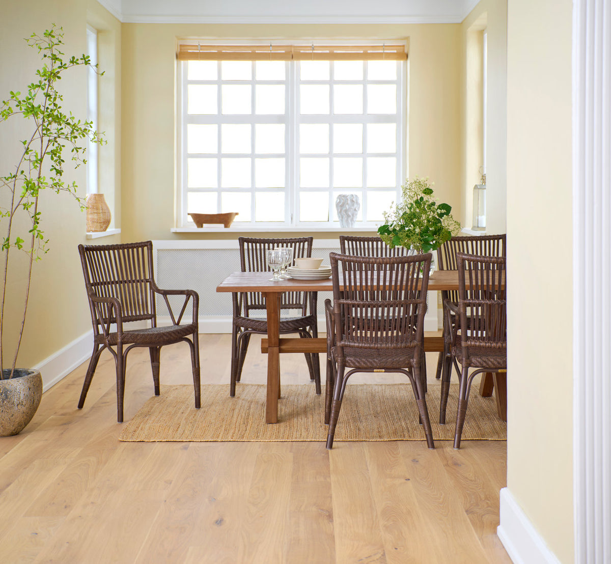 Esta es una imagen de estilo de vida de Hugo mesa de comedor de teca 180x90 cm en teak indoor. Con sillas de comedor de ratán en una sala amarilla luminosa.