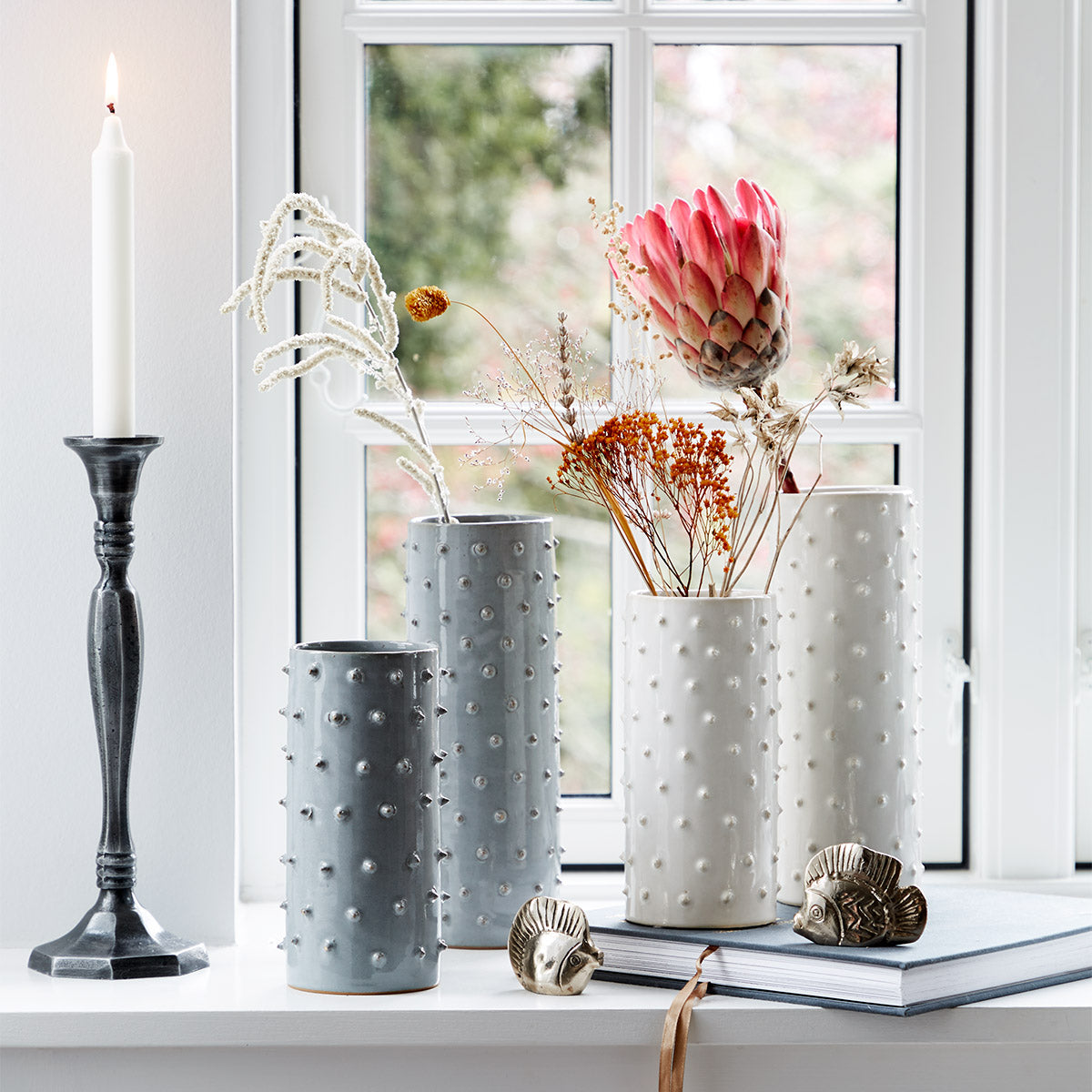 Pez Amigable | Pequeño