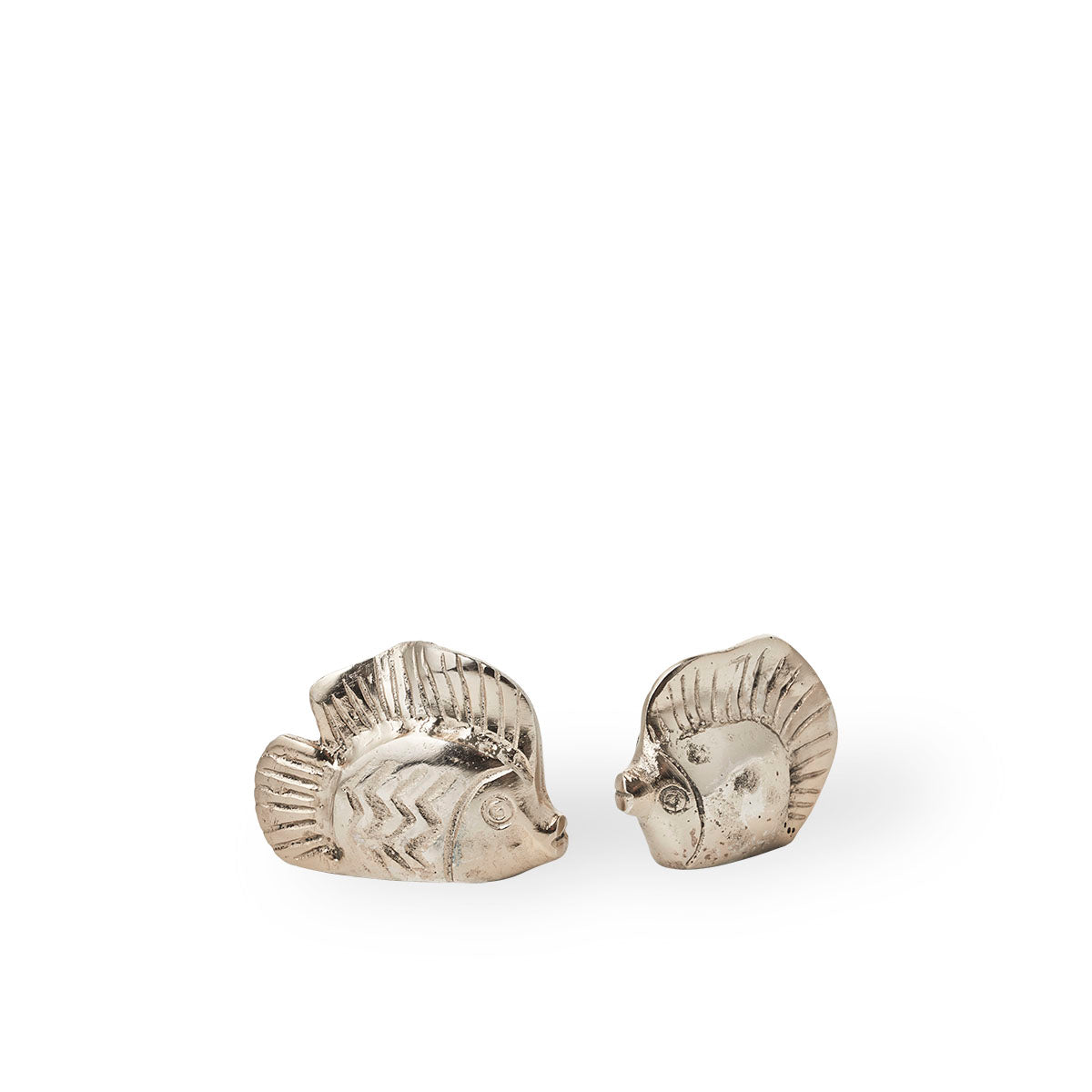 Pez Amigable | Pequeño