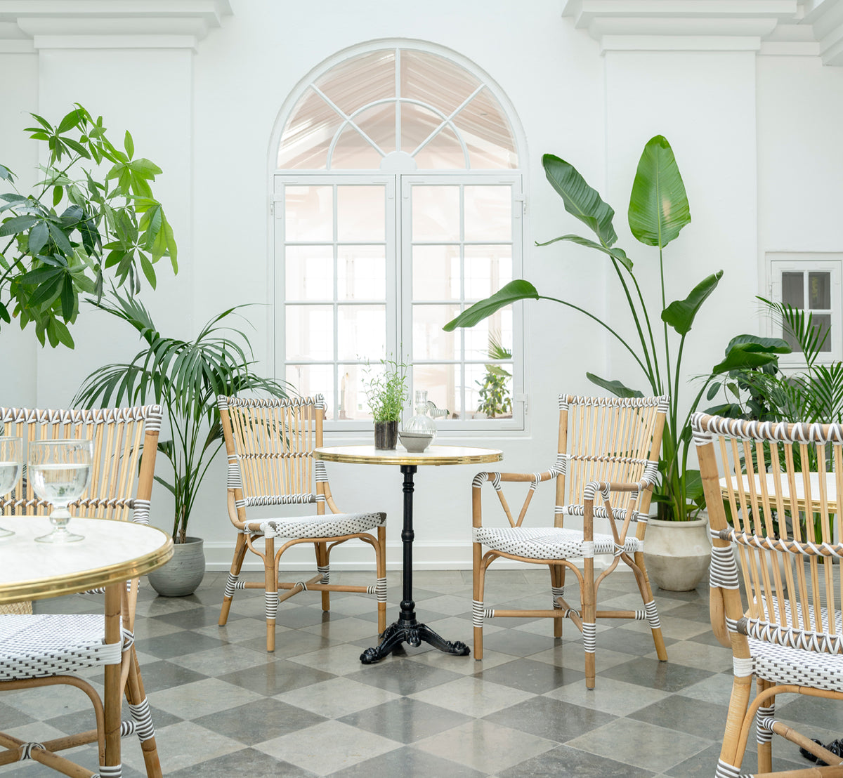 Esta es una imagen de estilo de vida de Monique silla de comedor en white w cappuccino dot artfibre skin on rattan frame. Estilizado en un interior luminoso.