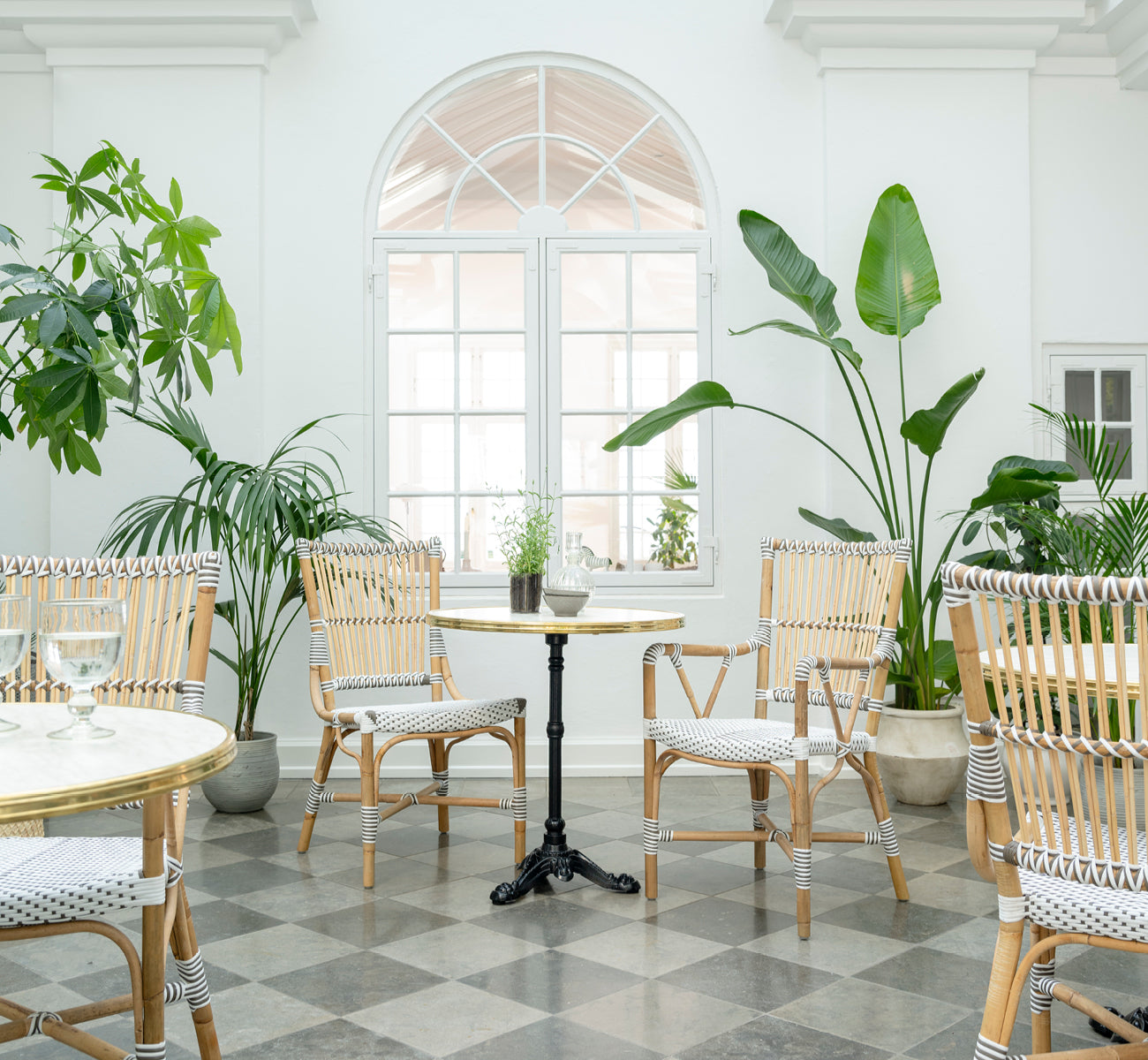 Esta es una imagen de estilo de vida de Monique silla de comedor en white w cappuccino dot artfibre skin on rattan frame. Estilizado en un interior luminoso.