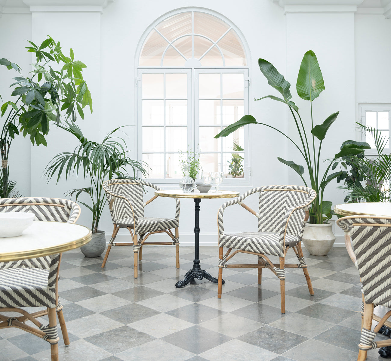 Esta es una imagen de estilo de vida de Madeleine silla de comedor en chevron cappuccino ivory ArtFibre skin on rattan frame. Luminoso invernadero con plantas.