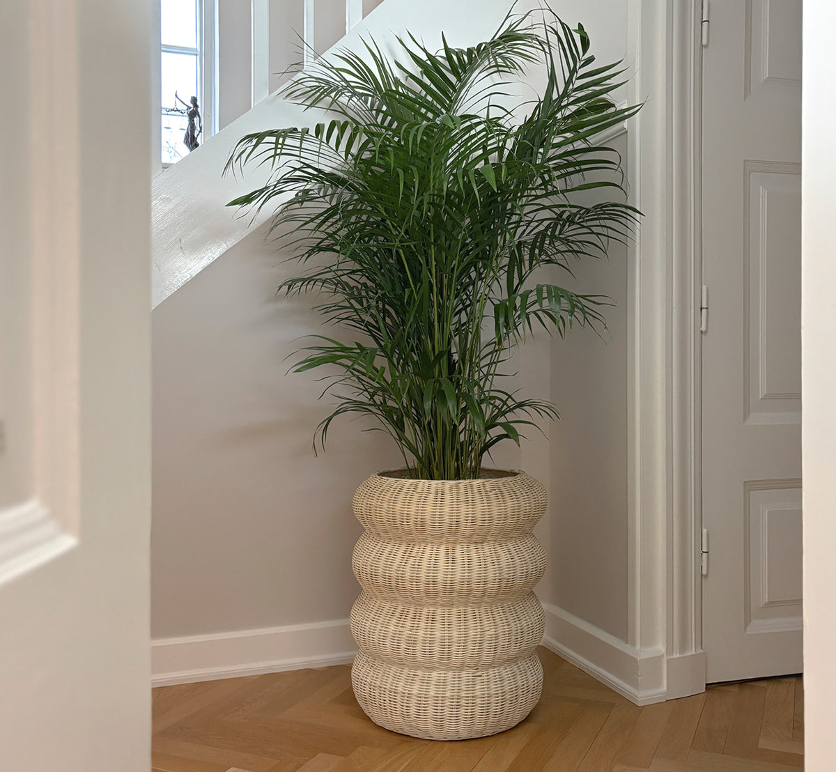 Esta es una imagen de estilo de vida de Mel Basket i natural core weave rattan frame. Sobre suelo en espiga en un pasillo luminoso con paneles.