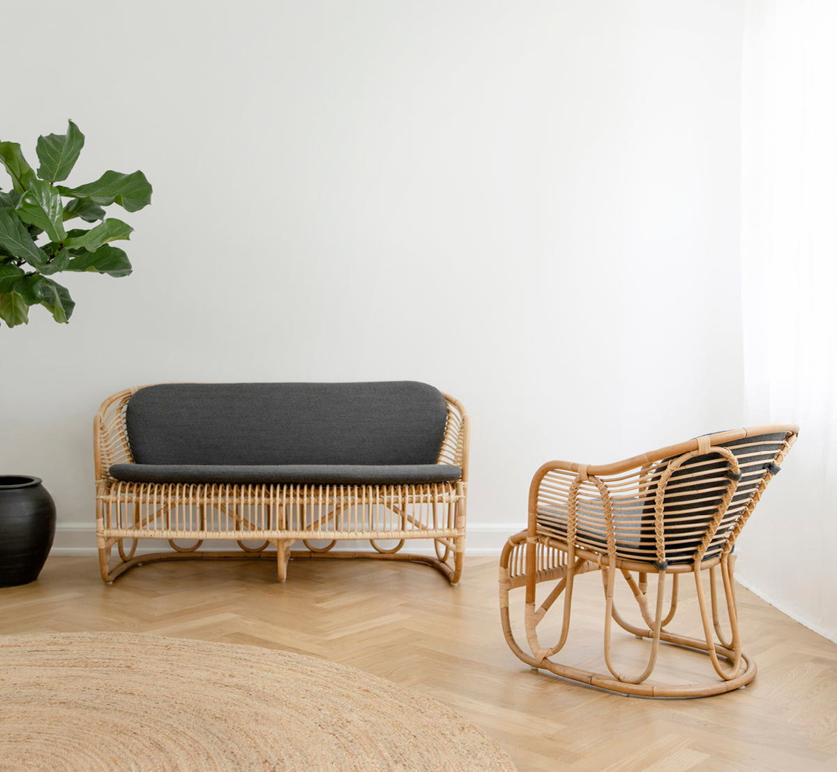 Esta es una imagen de estilo de vida de Swing sofá en polished natural rattan. Colocado sobre una alfombra junto a una planta ficus lyrata en suelo de parqué.