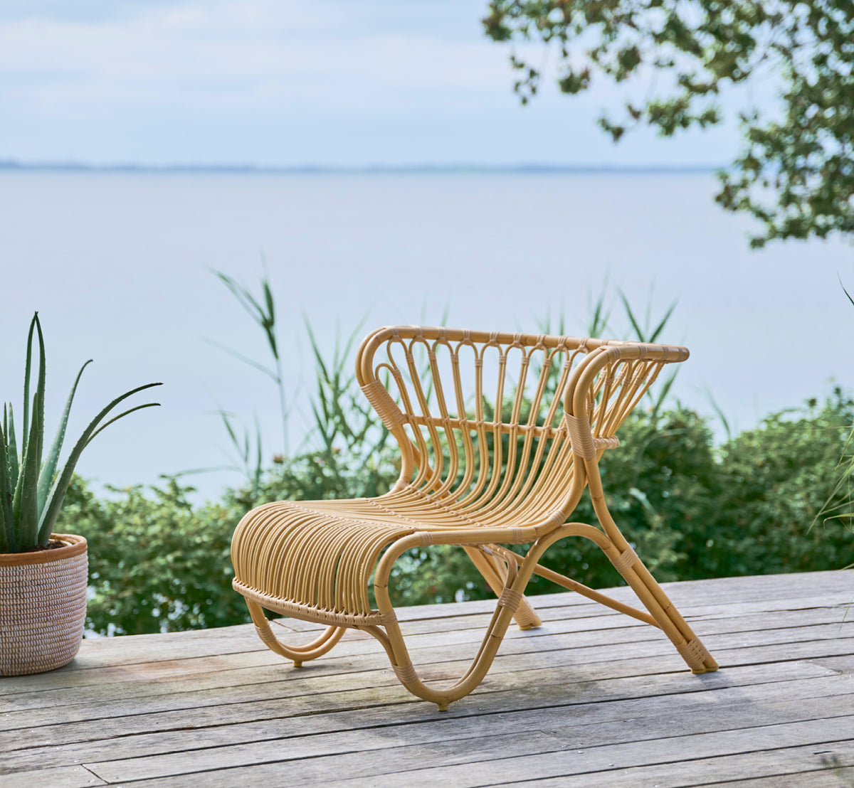 Esta es una imagen de estilo de vida de Fox sillón lounge exterior en natural Aluminium ArtFibre, en una terraza de madera junto al agua con cañas.