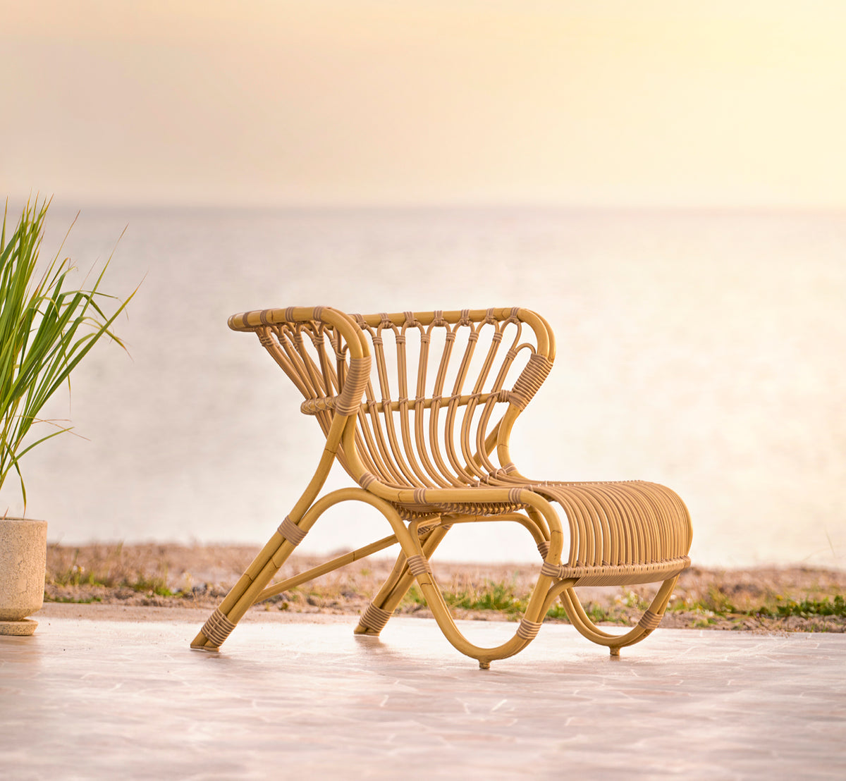 Esta es una imagen de estilo de vida de Fox sillón lounge exterior en natural Aluminium ArtFibre, en una terraza de madera junto al agua con cañas.