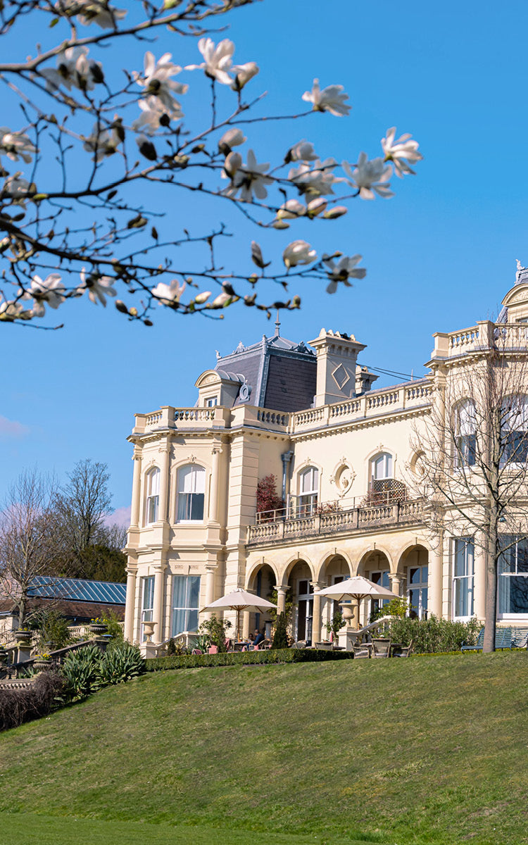 Beaverbrook
