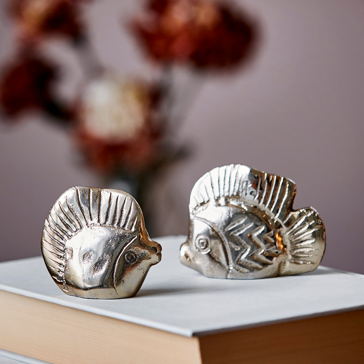 Pez Amigable | Pequeño